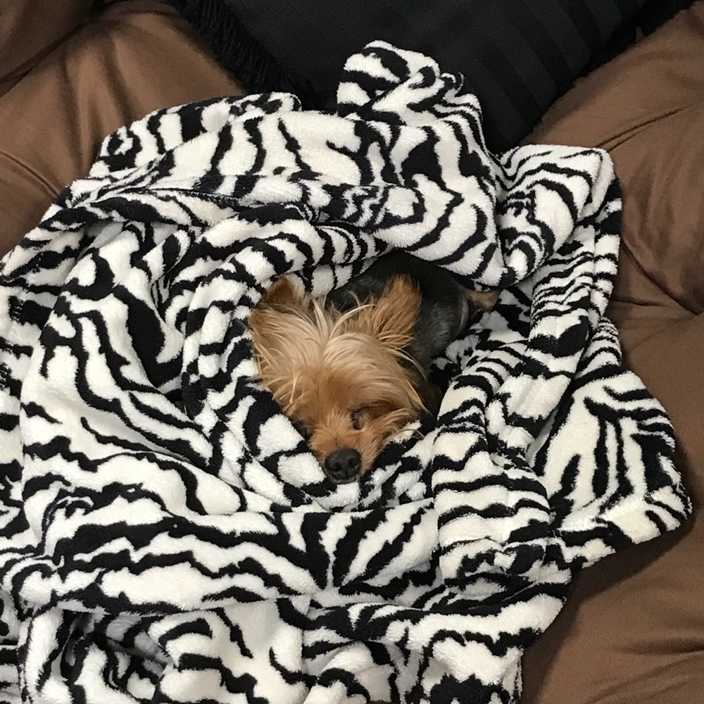 Meet your Posher, Laquita